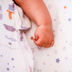 Pink Elephant Sleeping Bag Stars Sheet 2
