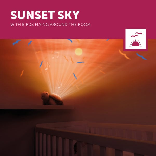 Tim 3 Sunset Sky Lr