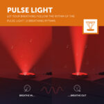 Emmy 2 Pulse Light Lr