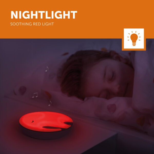 Emmy 4 Nightlight Lr