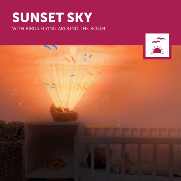 Henry 3 Sunset Sky Lr