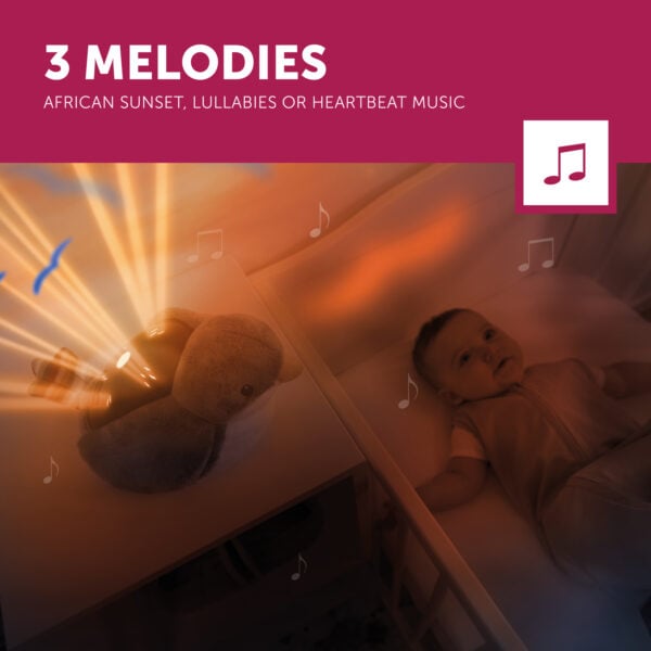 Shally 4 3 Melodies Lr