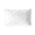 ציפית - דגם כוכבים