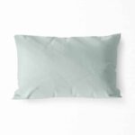 ציפית - דגם מיסט בלו