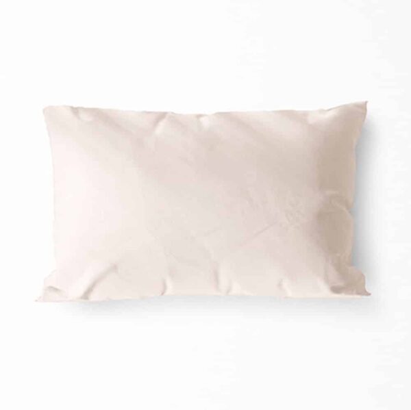 ⁦ציפית - דגם וניל⁩ – תמונה ⁦1⁩